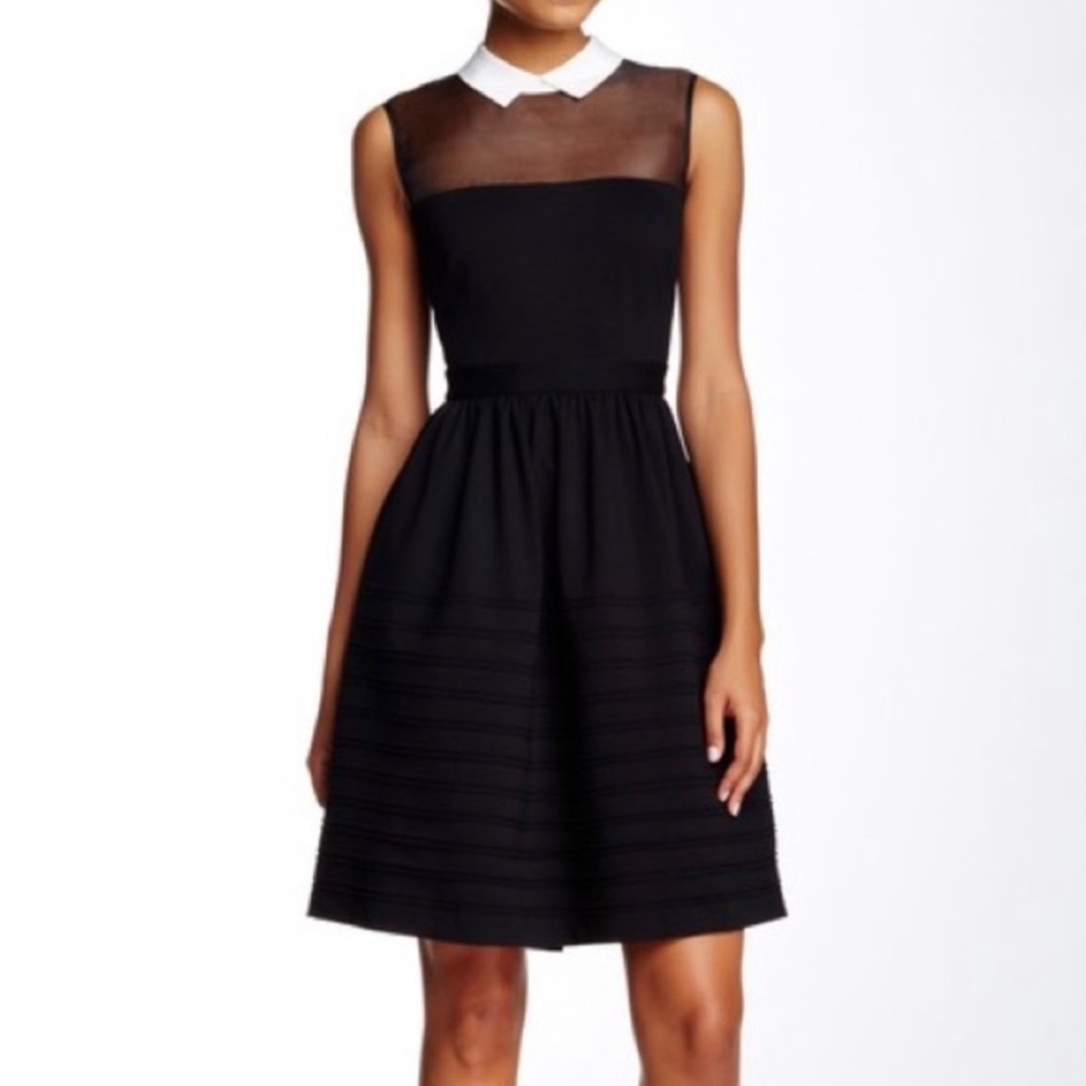 Betsy Johnson :: Peter Pan collar dress